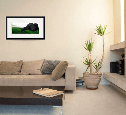 Screen Shot 2015-06-30 at 9.47.00 PM