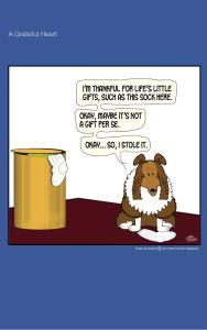 Frodo the Sheltie dog comic strip: Frodo is thankful all the things he has, including the things that are not his.