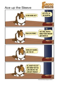 Frodo the Sheltie dog comic strip: Gord needed to go to the hospital, and Frodo is trying to figure out how Raquel got him to go.