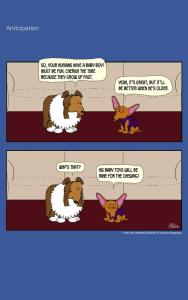 Frodo the Sheltie dog comic strip: Nina telling Frodo how excited she about the arrival of the human baby in her family, but not for reason you may think.