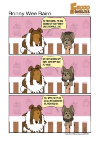 Frodo the Sheltie dog comic strip: Frodo is visiting Luke's new human sister. Luke is happy but also worried that she'll get all the treats now.