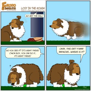 Frodo the Sheltie, a dog comic strip; title: Lost In The Rough… Scene… Raquel and Frodo are standing in the yard playing fetch. Raquel throws the ball a fairly good distance and says with Excitement, “Go get the ball! Go get it!”… Without hesitation Frodo dashes full throttle across the lawn, feeling the wind in his face… After running a good while, he comes to a full stop to scope the area in search of the ball… Raquel shouts out, “Do you see it? It’s right there!… C’mon boy, you can do it…It’s Right there… Frodo is baffled by the missing ball, which is in fact right below his belly unbeknownst to him… Frodo, thinks this is some kind of practical joke and shouts back, “Okay, This isn’t funny anymore. Where is it?”