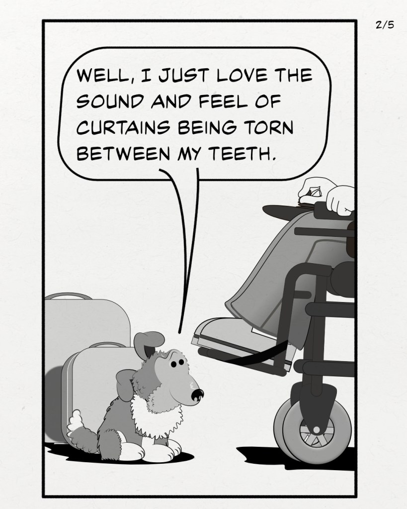 Panel 2 of 5 George the sheltie puppy starts by saying: Well, I just love the sound and feel of curtains being torn between my teeth.