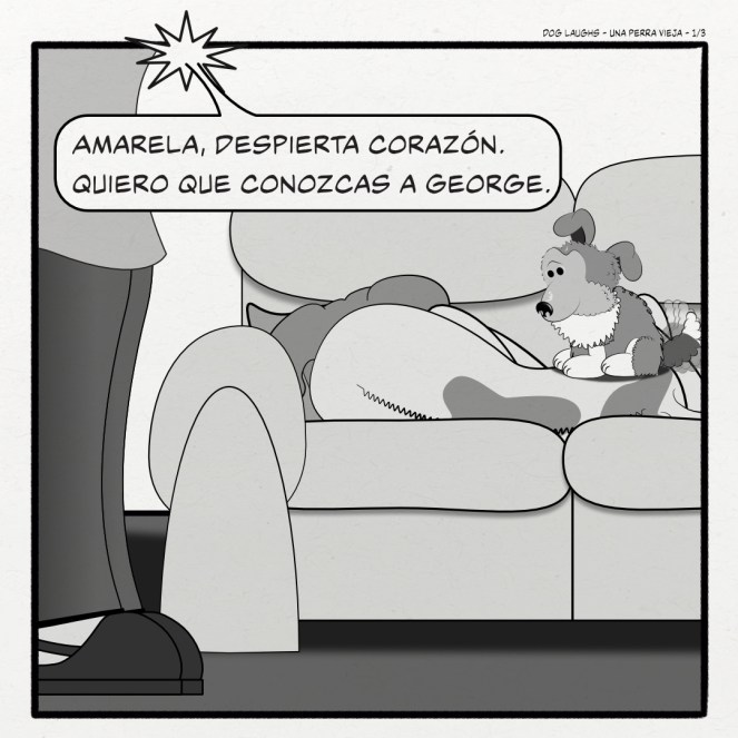 Viñeta 1 of 3: La perra vieja de la familia, Amarela, está roncando como un tronco en el gran sofá cuando la mamá entra con una sorpresa: el nuevo cachorro sheltie de la familia, George, que está sentado encima de la perra vieja. Mamá dice: 'Amarela, despierta corazón. Quiero que conozcas a George'.
