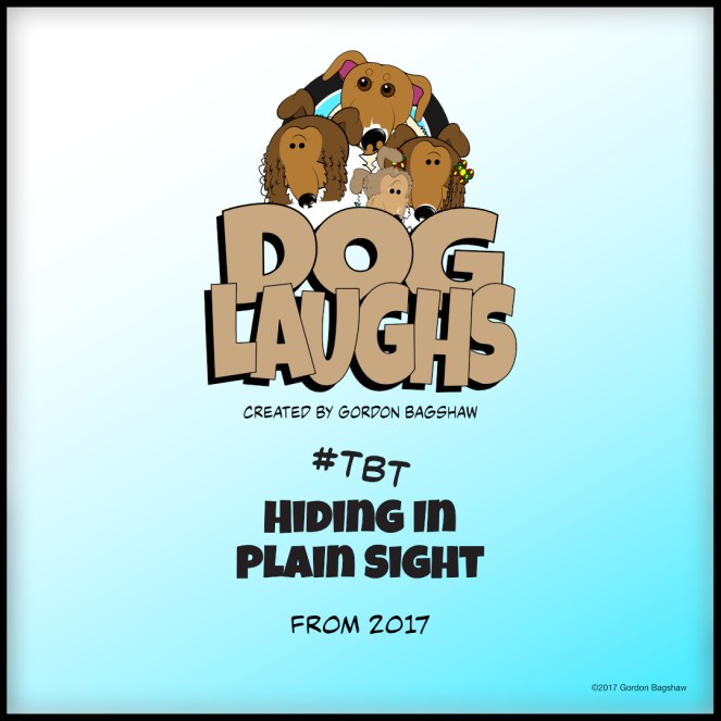 this is dog laughs comic strip, created by Gordon bagshaw. this one is titled Hiding In Plain Sight, featuring Frodo the Sheltie and his cousin, Nina
