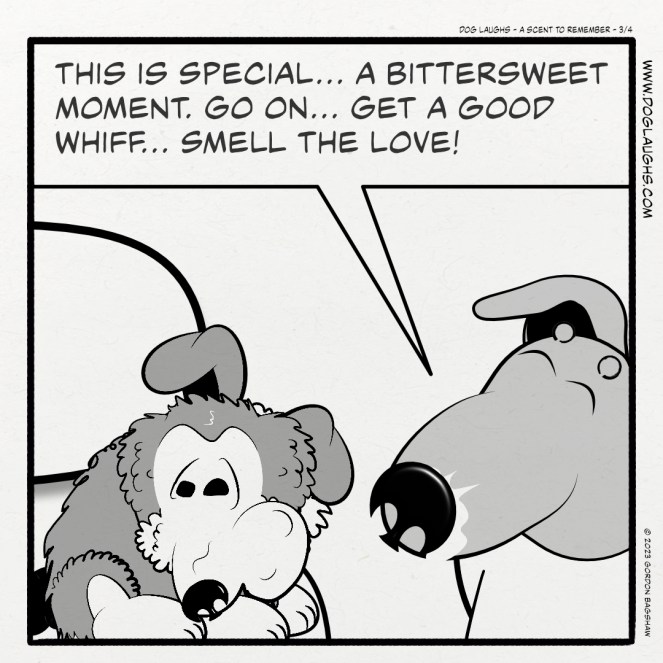 this is Special... a bittersweet moment. Go on... Get a good whiff... Smell the love!