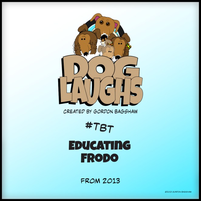 DOG LAUGHS COMIC STRIP Frodo the Sheltie titled Educating Frodo - 2 panels created by Gordon Bagshaw this is a funny cartoon