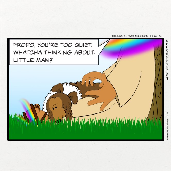 Frodo, you’re too quiet. Whatcha thinking about, little man?