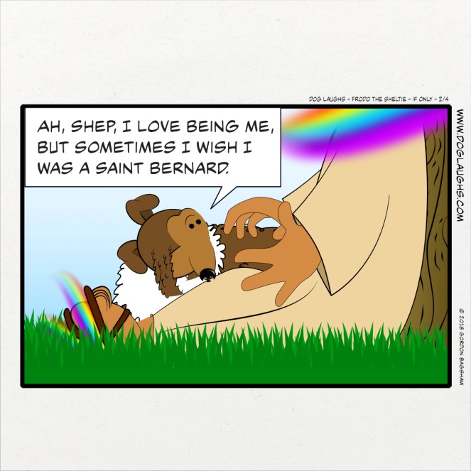 Ah, Shep, I love being me, but sometimes I wish I was a Saint Bernard.